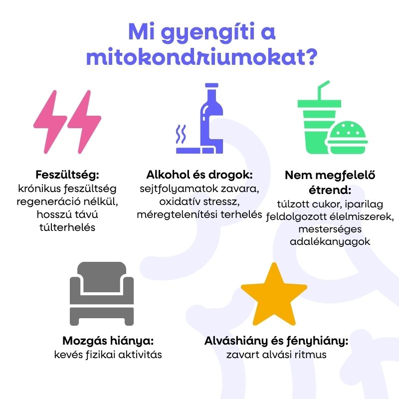 (Maďarština) (25)